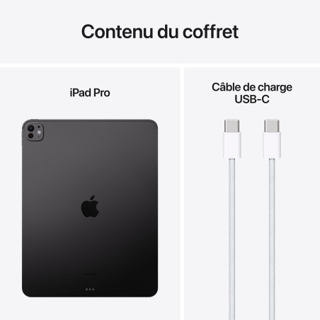 Apple iPad Pro M4 (2024) 13 pouces 512 Go Wi-Fi Noir Sidéral